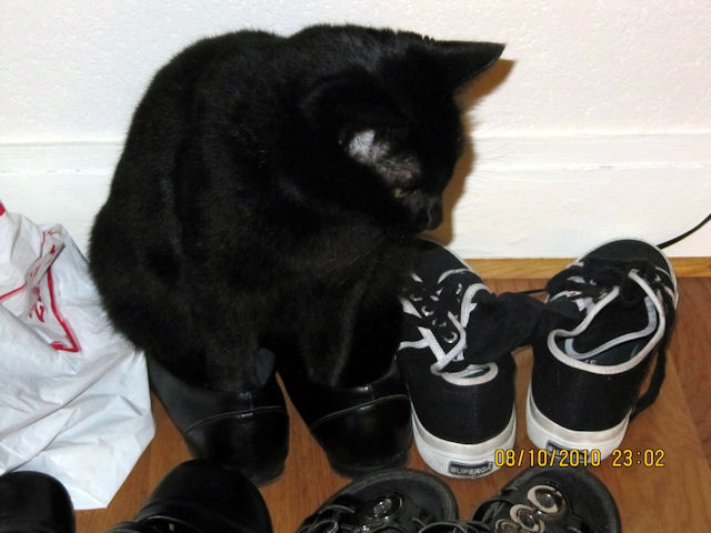 2010-10-06 Tsn_l.jpg